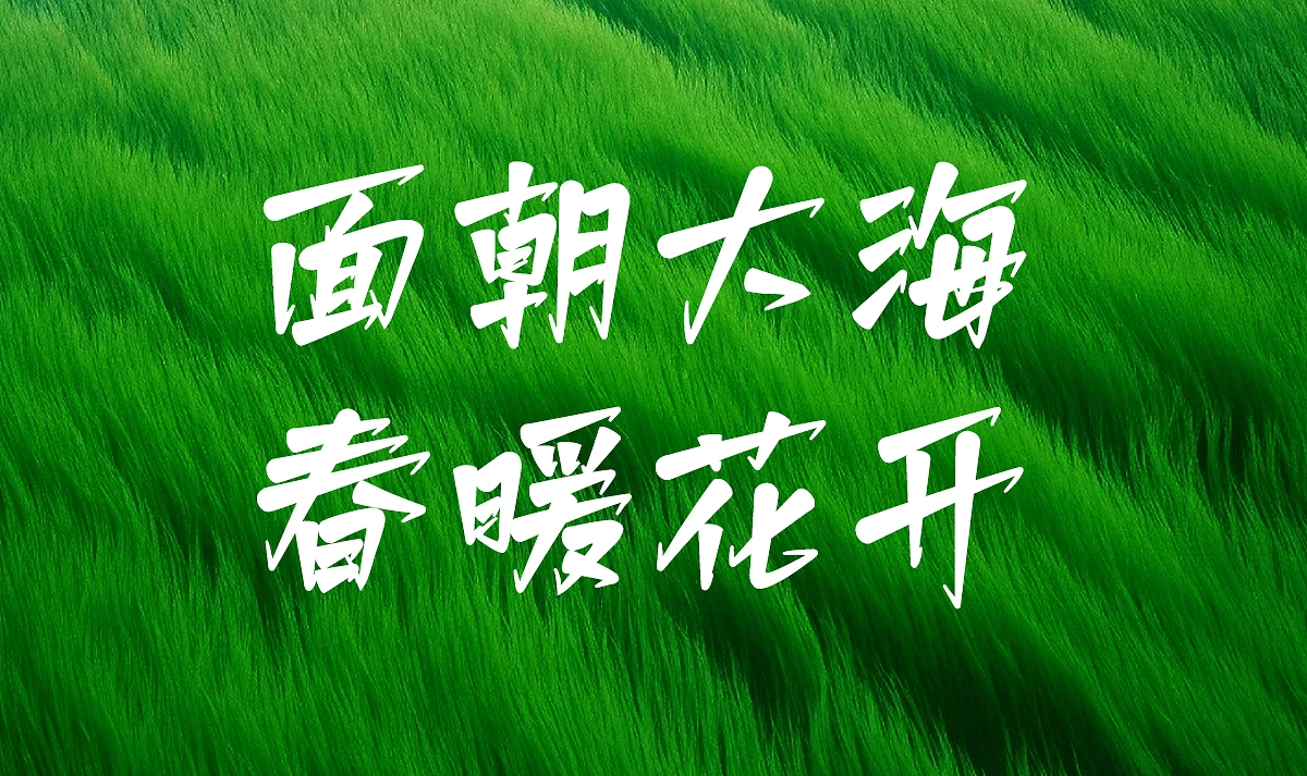 白路棒棒手写体