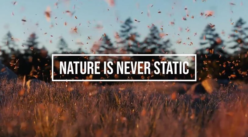 Blender预设 真实昆虫群飞行系统几何节点预设 Fly Swarm