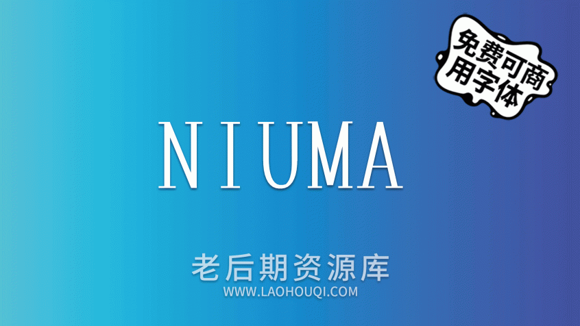 花园明朝体