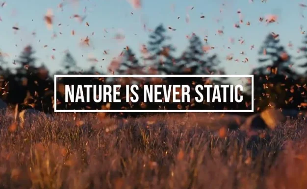 Blender预设 真实昆虫群飞行系统几何节点预设 Fly Swarm