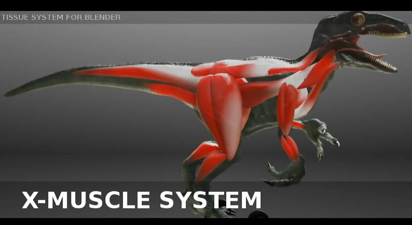 Blender插件 肌肉系统模拟工具 X-Muscle System 4.0
