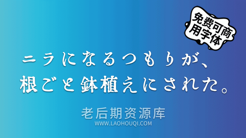 ORADANO Mincho 明朝体