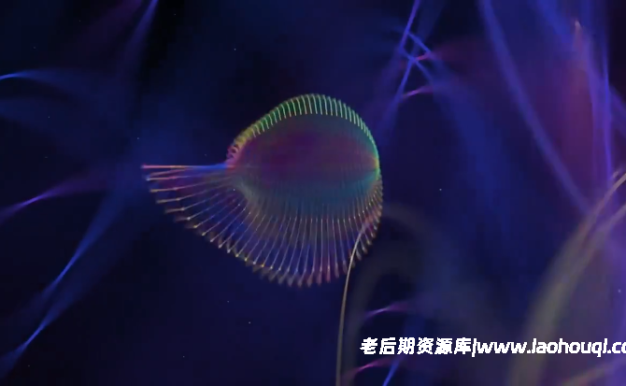 Ae插件中文汉化-Plexus点线面三维粒子插件