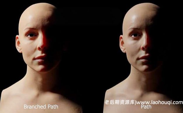 Blender插件Dermis Shader V1.1模拟真实皮肤着色器预设