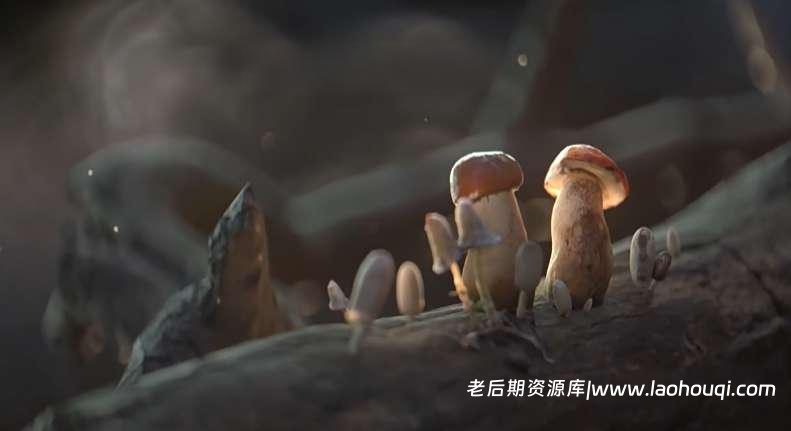 Blender插件 漂浮灰尘粒子动画预设 Dust Particles+ Pro v1.1