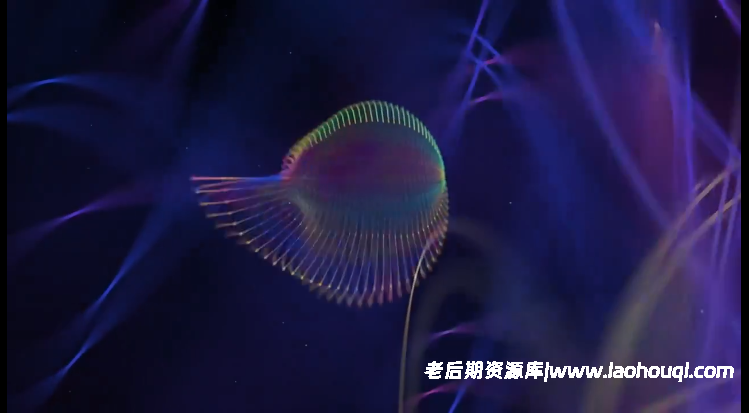 Ae插件中文汉化-Plexus点线面三维粒子插件