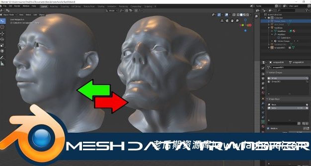 Blender三维模型网格数据转移传送插件 Mesh Data Transfer V2.0.6