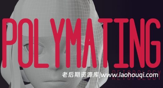 Blender模型重拓扑收缩贴合插件 Polymating v1.1.2