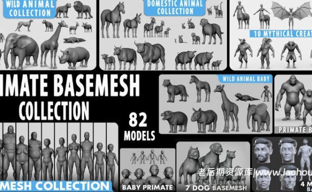 动物人类神话生物基础网格模型集合82个Ultimate Basemesh Collection – Topology + Uv Map