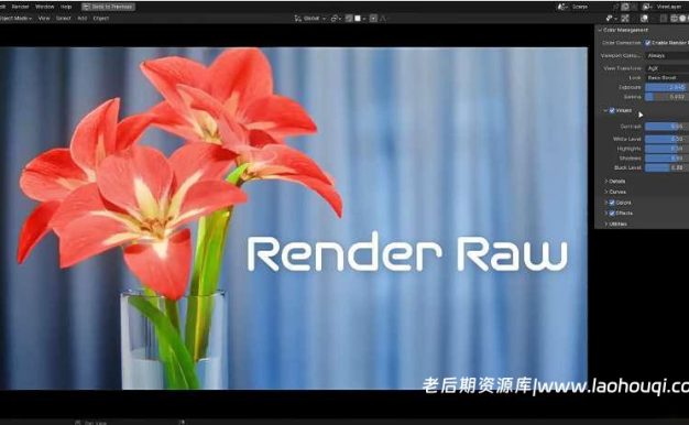 Blender真实高级色彩调色渲染插件 Render Raw V1.2.6 – Pixel Perfect Color Correction