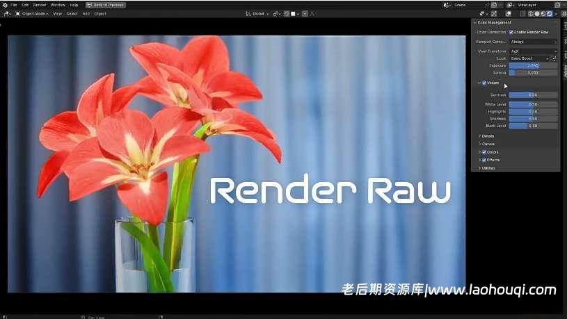 Blender真实高级色彩调色渲染插件 Render Raw V1.2.6 – Pixel Perfect Color Correction
