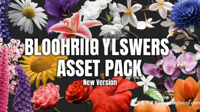 Blender开花生长动画资产:Blooming Flowers V2