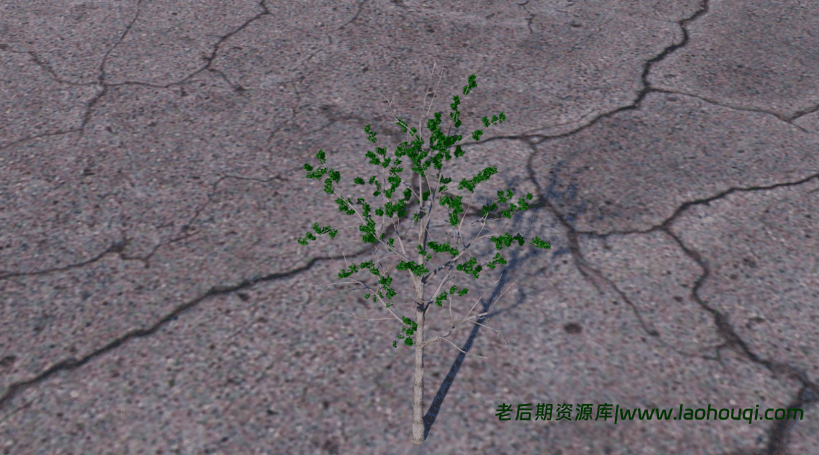 中文汉化版-Forester for Cinema 4D R15-R20 植物森林插件 植物插件 支持 win/mac+中文使用教程