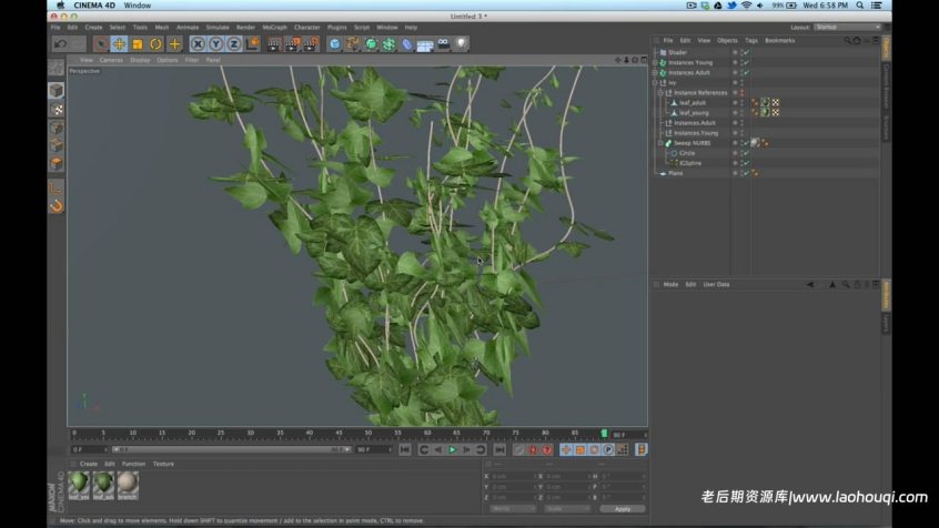 C4D插件-春藤植物生长插件汉化版 Ivy Grower C4D R16-R19